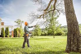 Best Commercial Tree Services  in Sterling City, TX