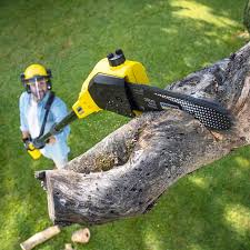 Best Lawn Mowing  in Sterling City, TX